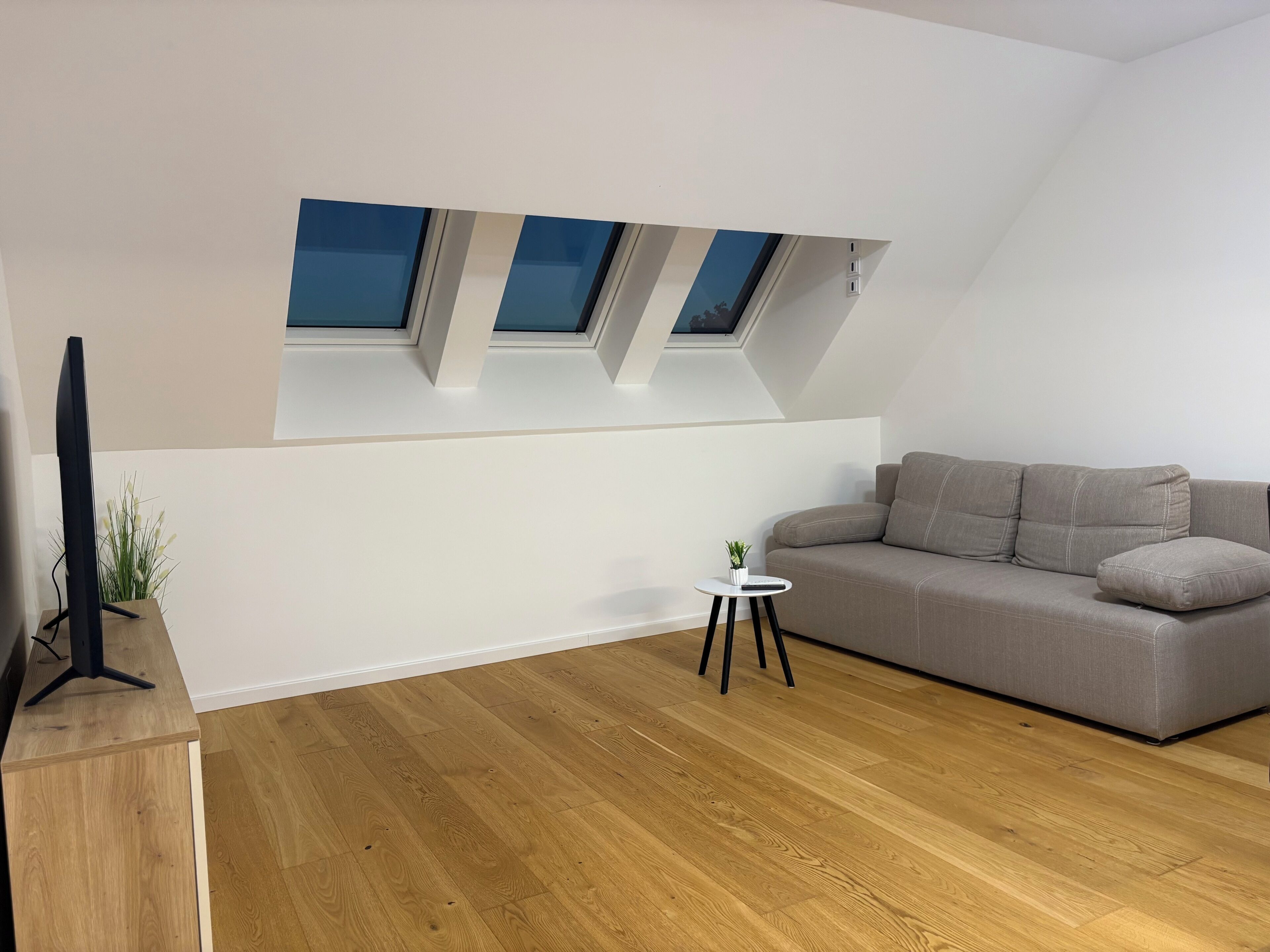 Smart-tv, bøger