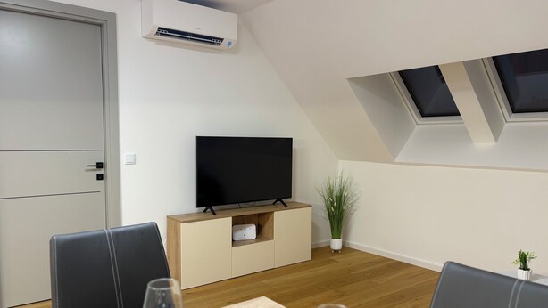A modern living room with a flat-screen TV, a dining table with chairs, a potted plant, and an air conditioning unit.