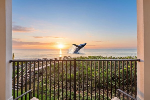 Property grounds - Oceanfront Calm | Private Pool & Private Beach (Melbourne Beach)