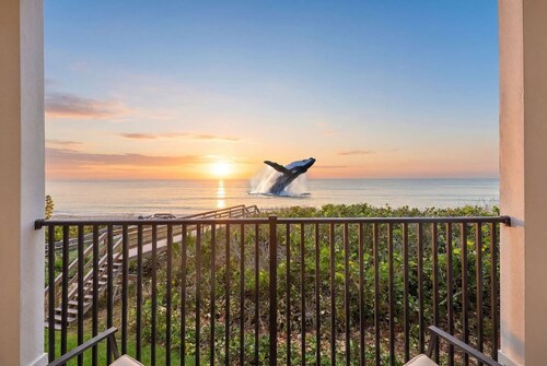 Oceanfront Calm | Private Pool & Private Beach