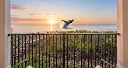 Oceanfront Calm | Private Pool & Private Beach
