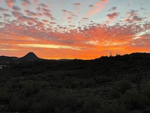 A desert landscape with sparse vegetation and a mountain in the distance.