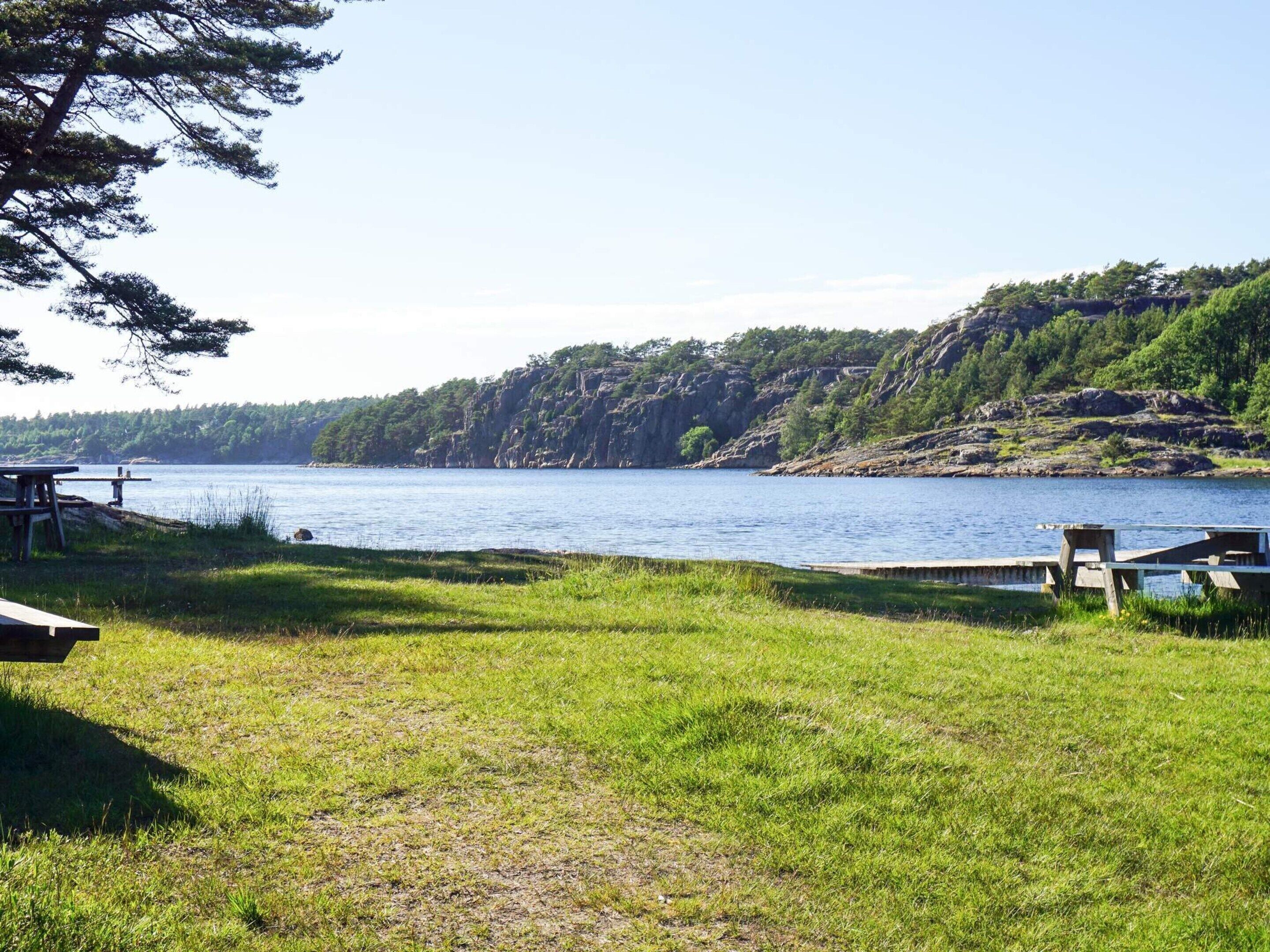 A lakeside picnic area with picnic tables and a grassy field.