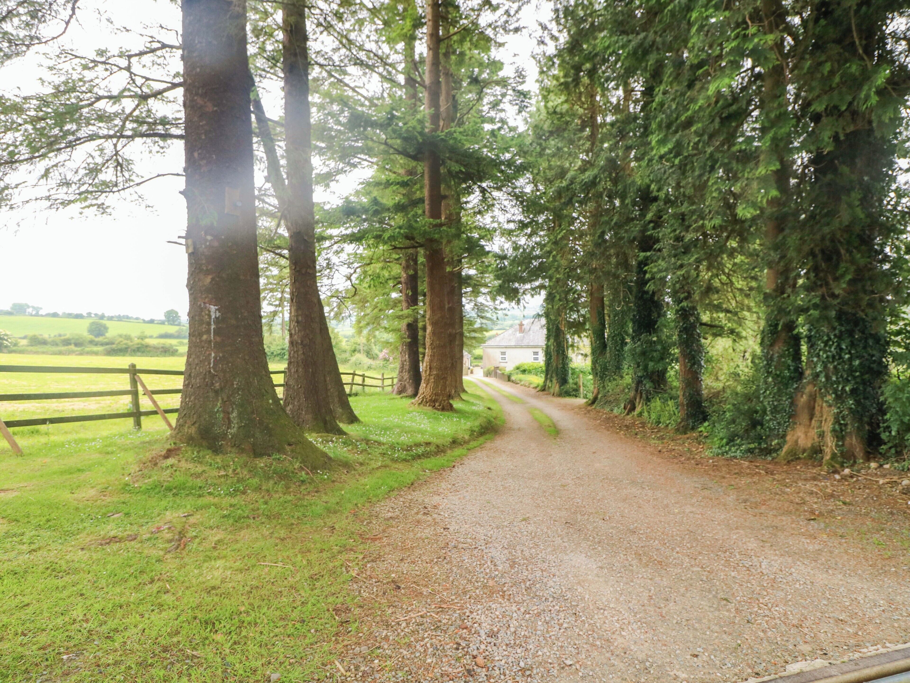 A gravel path flanked by tall trees and a wooden fence, leading to a house in a rural setting.