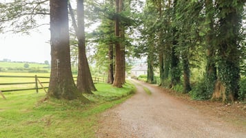 A gravel path flanked by tall trees and a wooden fence, leading to a house in a rural setting.