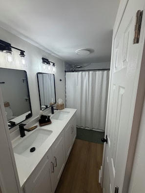 Shower, hair dryer, towels, soap - Lake front Pleasure Point Retreat with private dock! (Goodview)