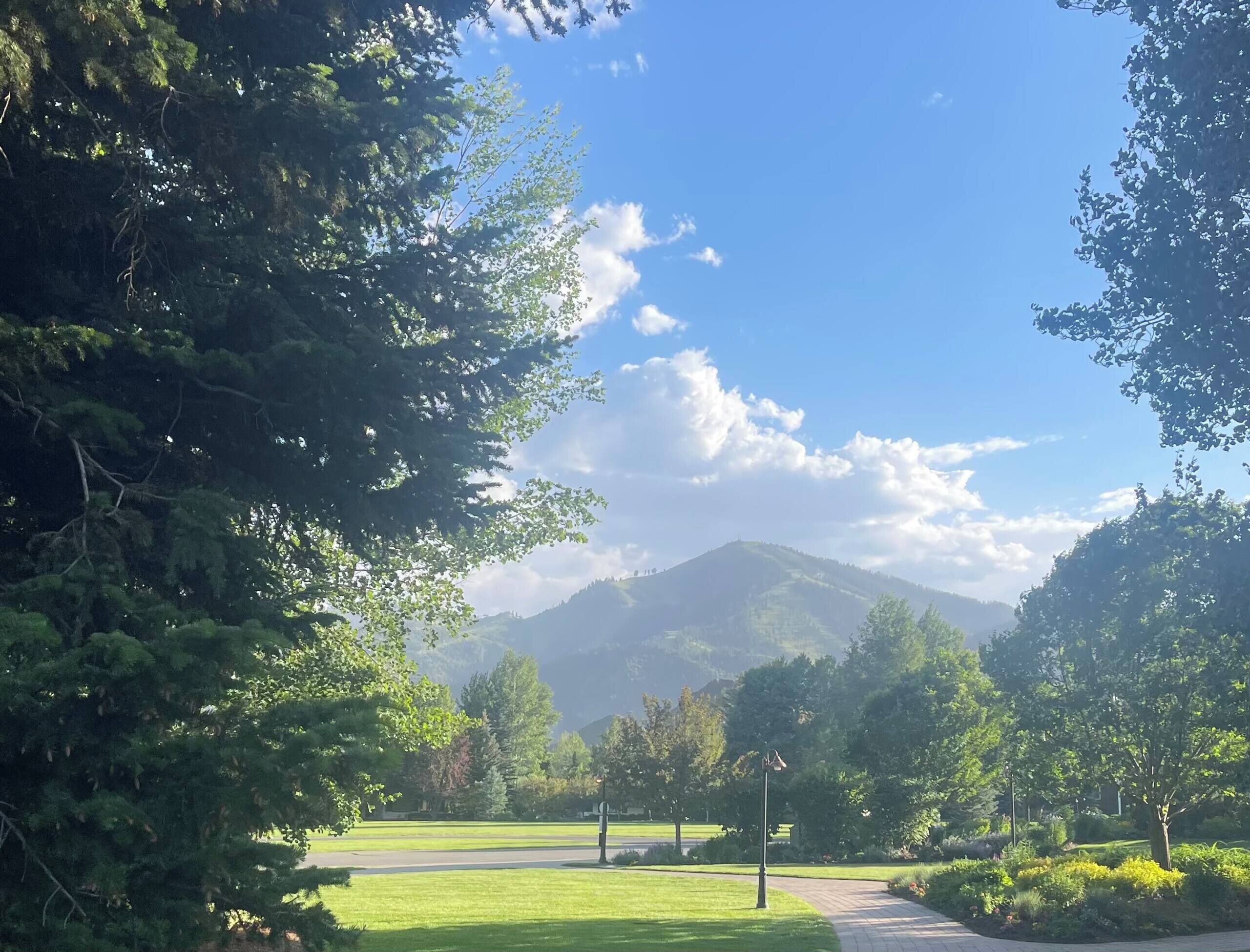 A park with a pathway, trees, and a mountain in the background.
