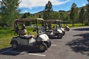 A row of golf carts parked on a road with a scenic view of hills and trees in the background.