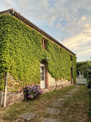 Exteriör