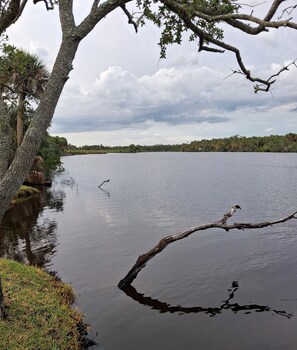 Miscellaneous - Myakka River Waterfront Dream Vacation Home (Venice)