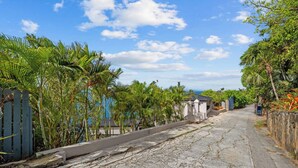 A paved pathway flanked by lush greenery and a clear blue sky. - The Parrot's Perch- New 6 BDRM Oceanfront Estate with Pool/Playground/Firepit (Lovenlund)