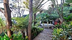 A wooden pathway surrounded by lush greenery and trees.