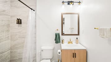Chuveiro, secador de cabelo, sabonete, papel higiênico
