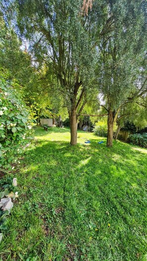 A lush garden with mature trees, a wooden bench, and a well-maintained lawn. - House a few blocks from Nahuel (San Carlos de Bariloche)