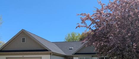 Una casa a un piano con un garage, un prato curato e un albero in fiore.