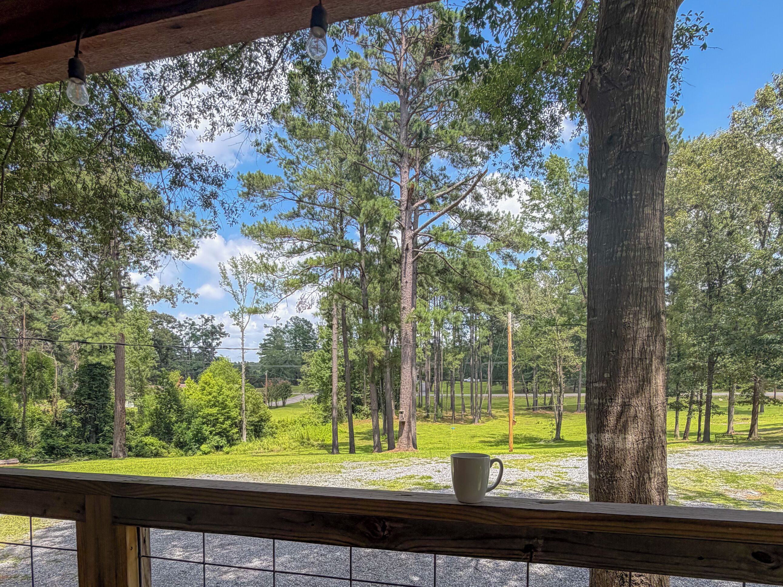 A view from a wooden deck with a white mug on the railing, overlooking a grassy area with trees and a clear sky.