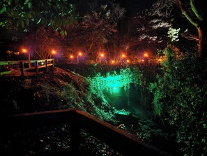 Vista nocturna de un parque con un puente, iluminado por luces cálidas, y una fuente con iluminación verde.