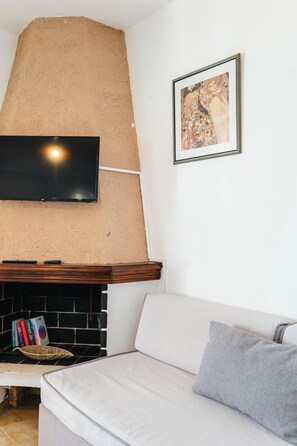 En stue med pejs, et fladskærms-tv, en sofa og et indrammet billede på væggen.