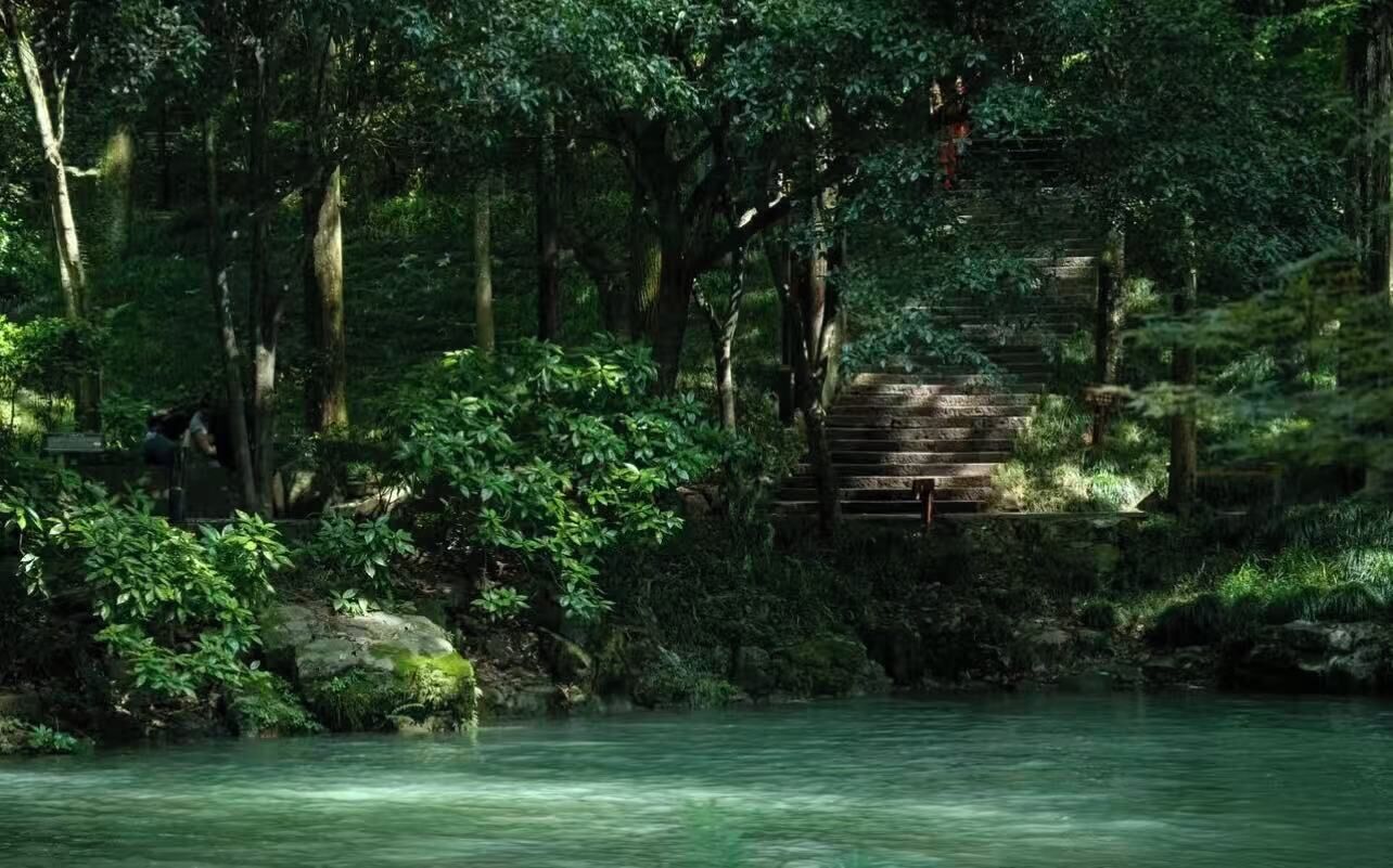 A natural setting with a wooden staircase leading up a hill, surrounded by dense greenery and a calm body of water.