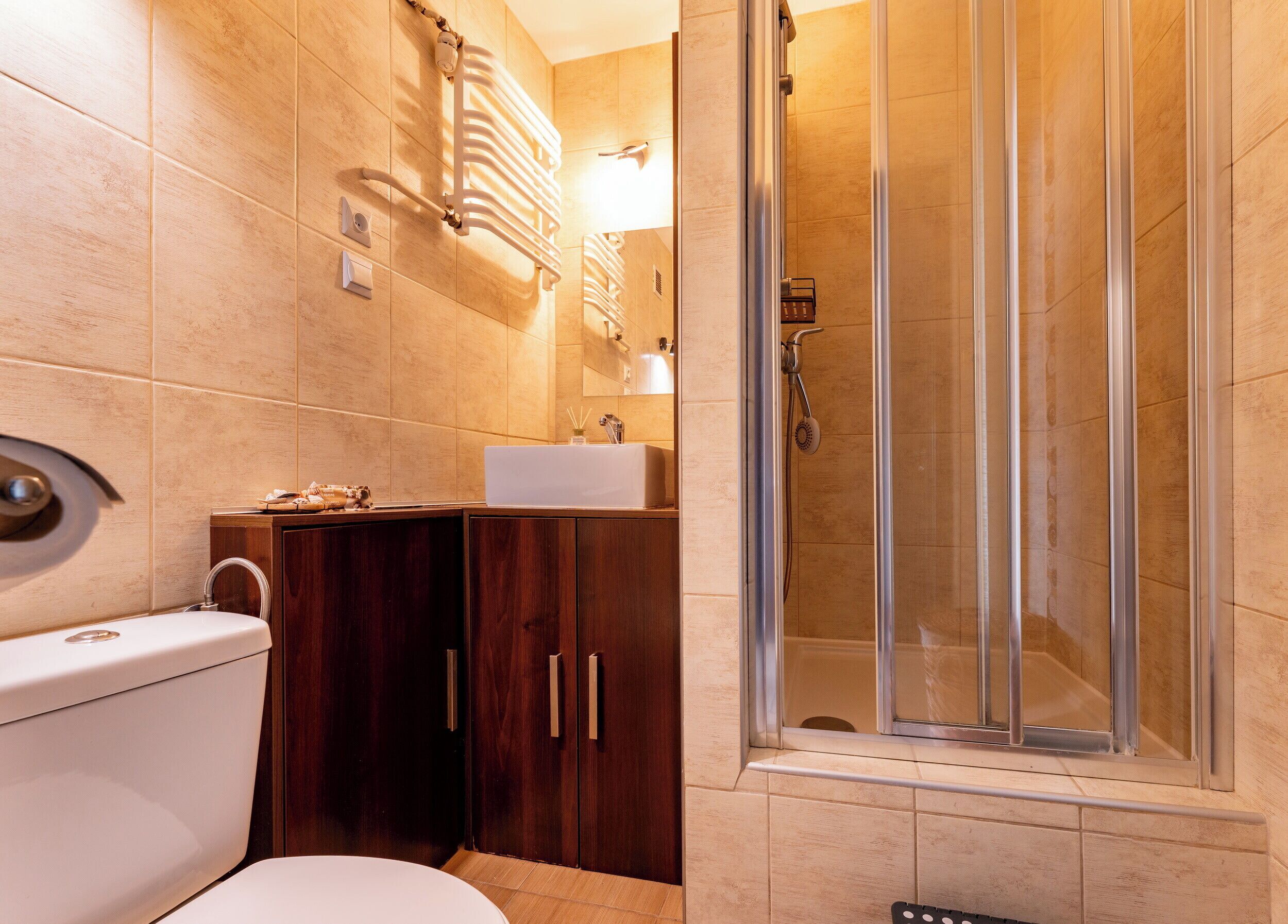 Shower, hair dryer, towels