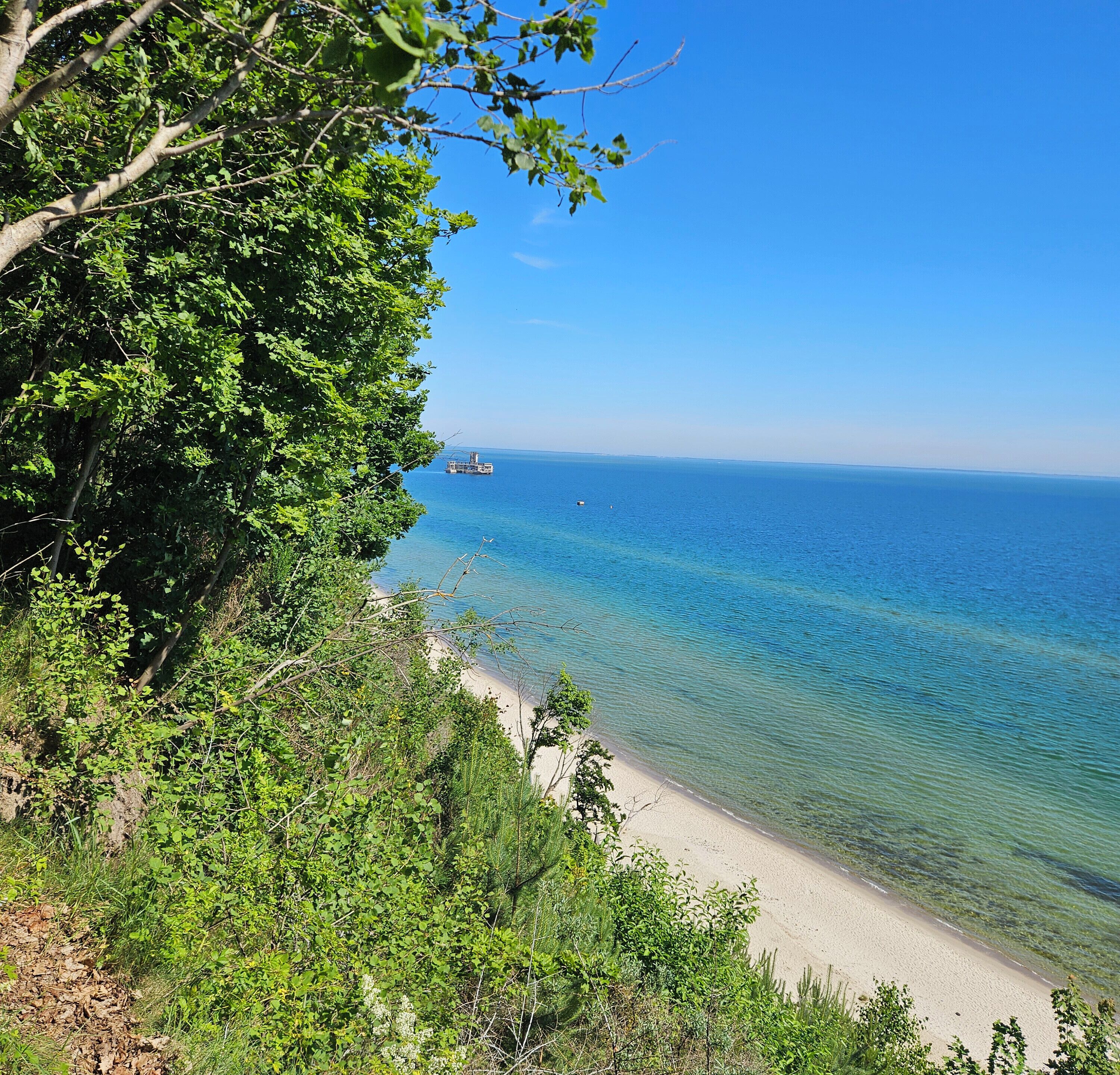 A beach with clear water, a sandy shore, and dense greenery.