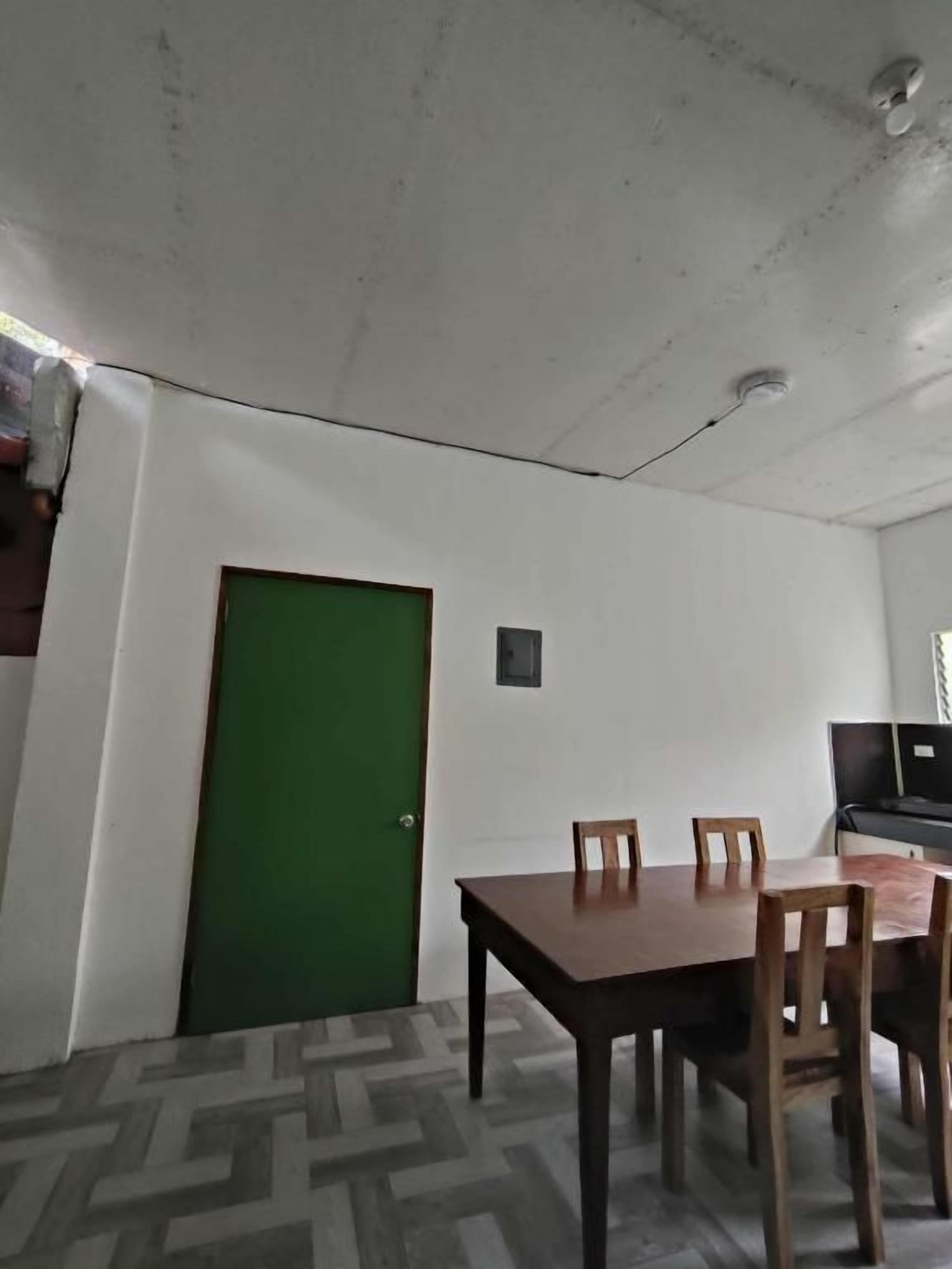 A room with a green door, a dining table with chairs, and a ceiling with visible fixtures.
