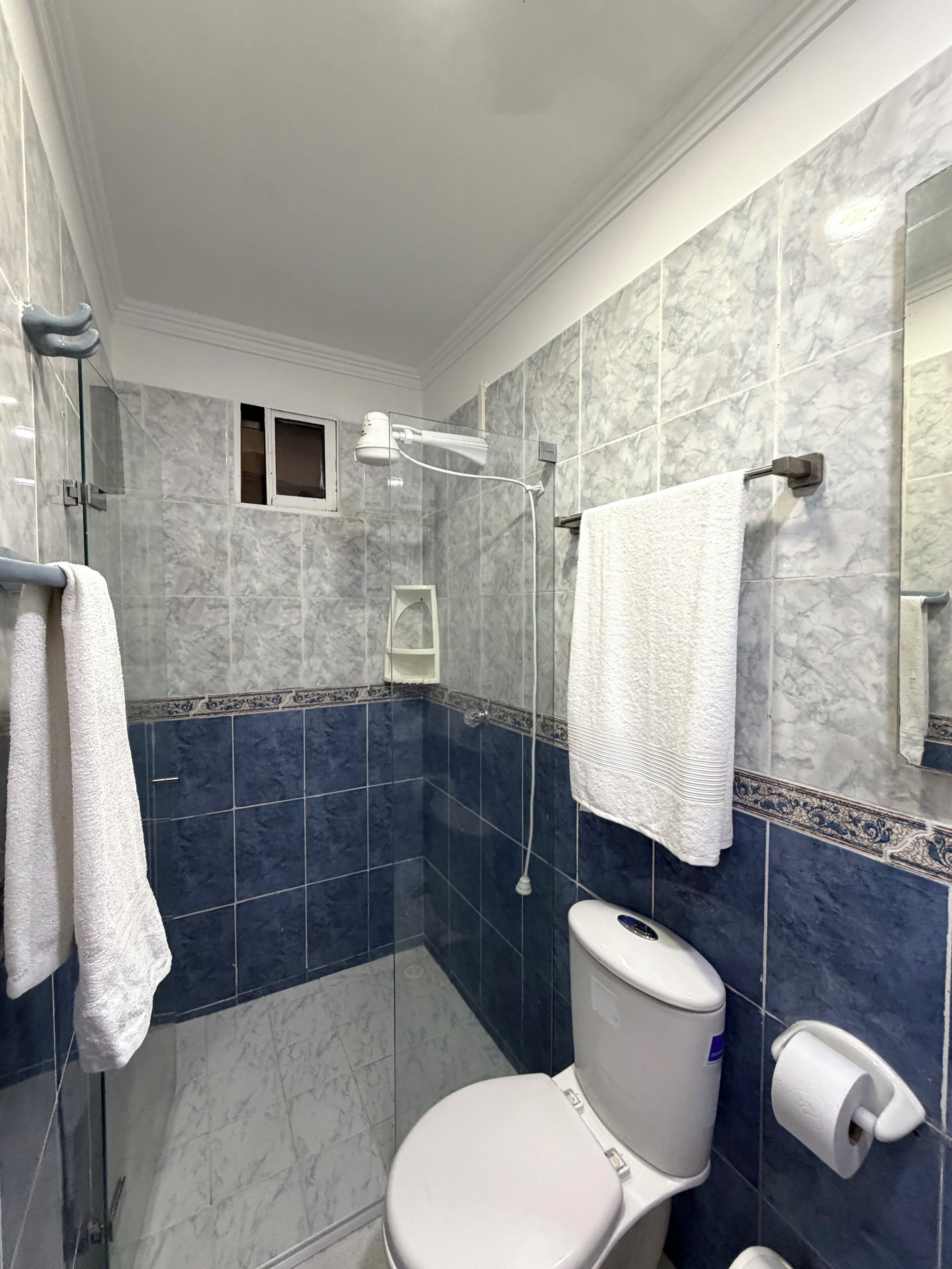 Un baño con ducha de vidrio, inodoro y perchero para toallas.