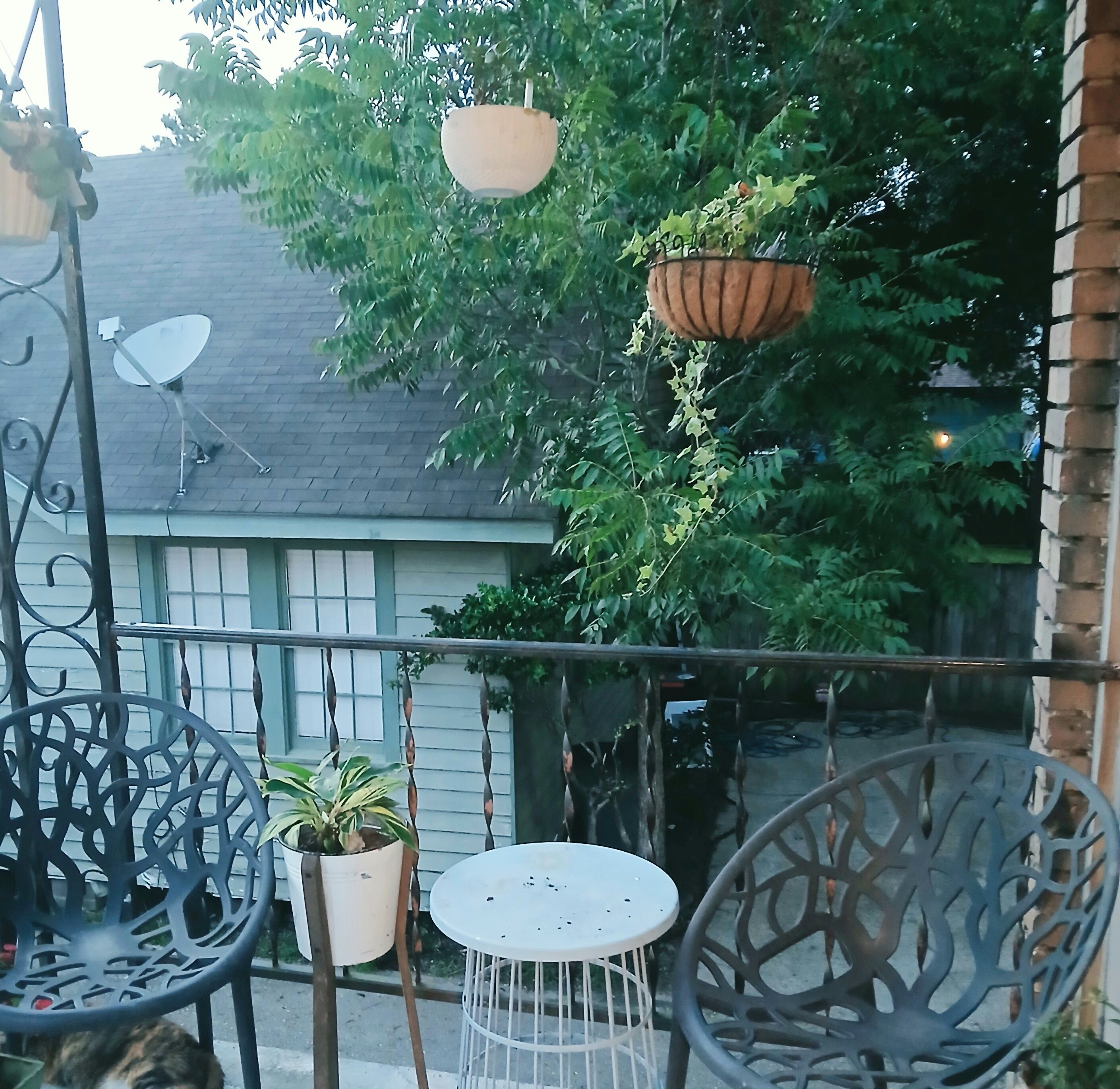 Terraza o patio