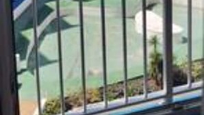 A view from a balcony overlooking a coastal area with a clear sky and a distant mountain. - Apartamento Zoraida del mar (Tacoronte)
