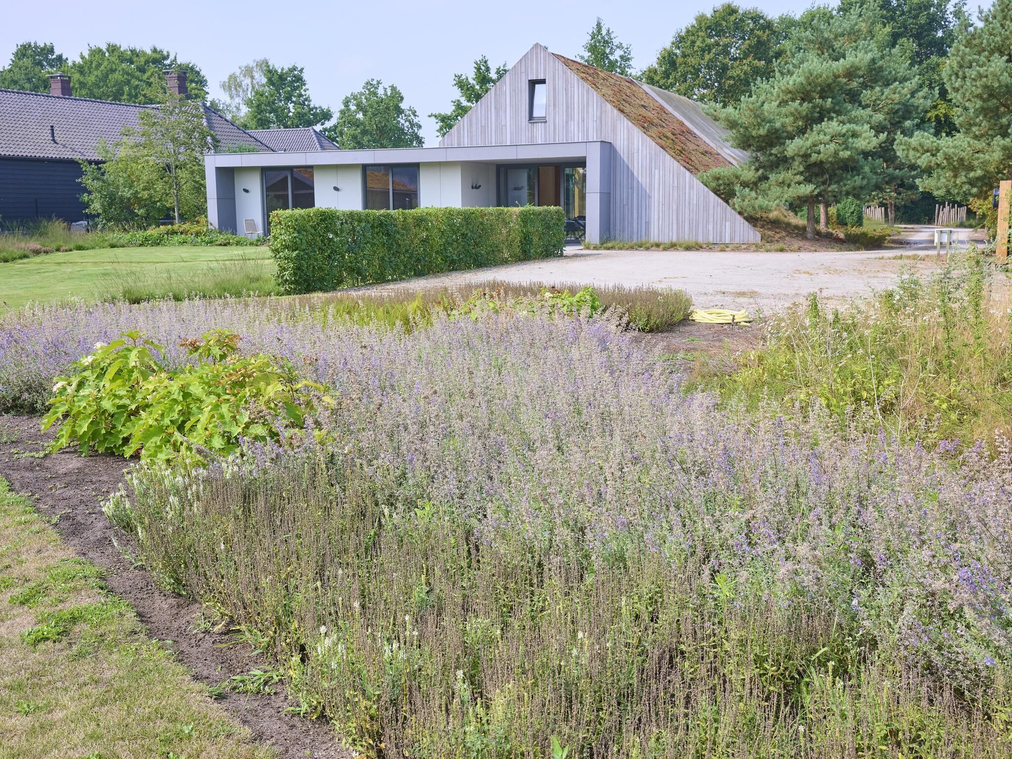 Eksteriør