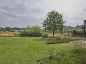 Eine Wiese mit einer Bank, einem Baum und einem Zaun.