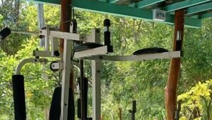 A covered outdoor gym area with exercise equipment, a green floor, and a view of trees.