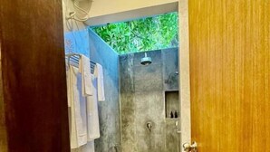 Une salle de bain avec des toilettes, une douche et une porte en bois.