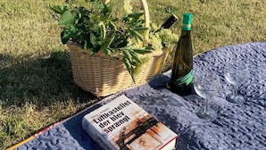 Pöydällä on piknik-tarvikkeita: kirja, pullo ja kori.
