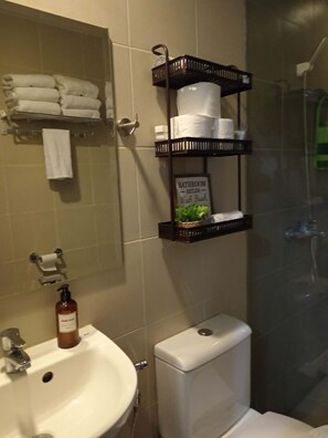 Regadera, secadora de cabello, bidet, toallas 