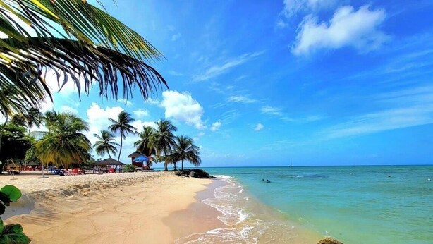 Una playa con agua cristalina, palmeras y una estructura de madera.