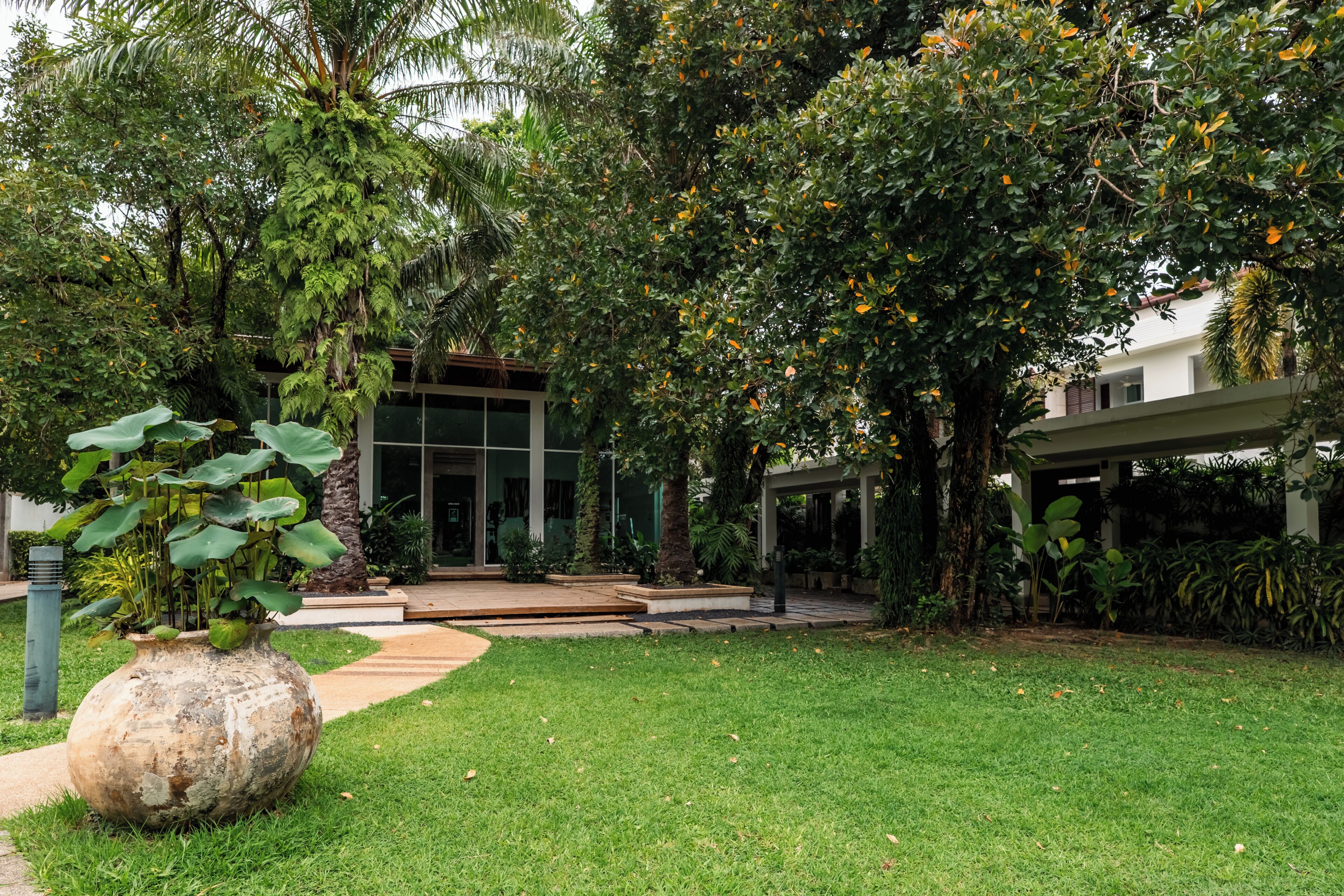 A well-maintained garden with a variety of plants and a large decorative stone.
