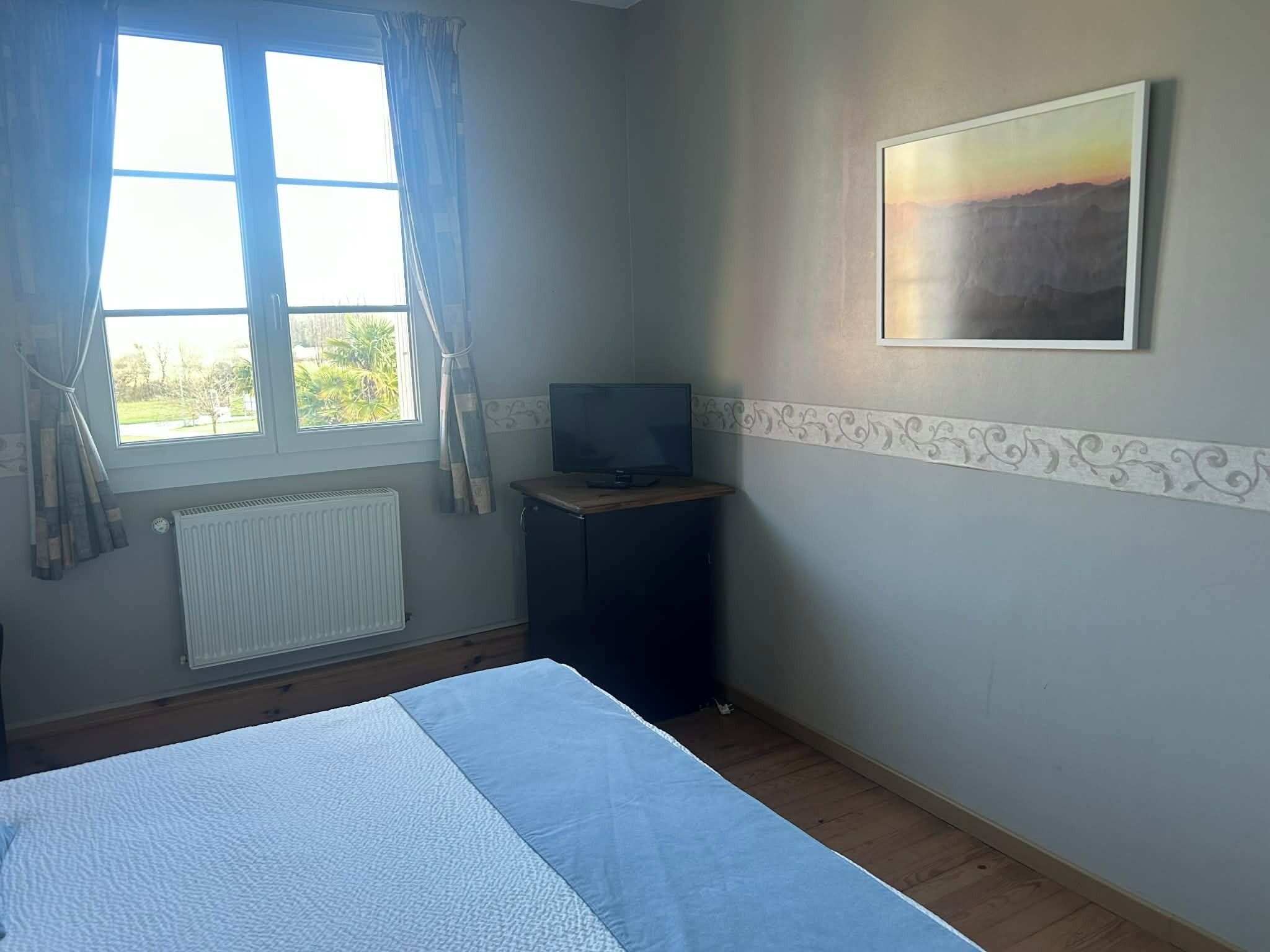 Una habitación con cama, televisión, ventana con cortinas, radiador y un cuadro colgado en la pared.