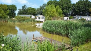 Ein Teich mit Enten, umgeben von viel Grün und einer Holzsteg.