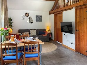 Fernseher, Kamin