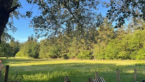 A grassy field with a wooden fence and trees in the background. - Cozy cabin for animal and nature lovers—near the forest and between the seas (Leck)