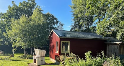 Cozy cabin for animal and nature lovers—near the forest and between the seas
