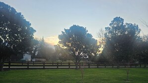 A grassy area with trees and a fence. - Hamilton 3 bedroom Home overlooking paddocks 4 m from city (Tamahere)
