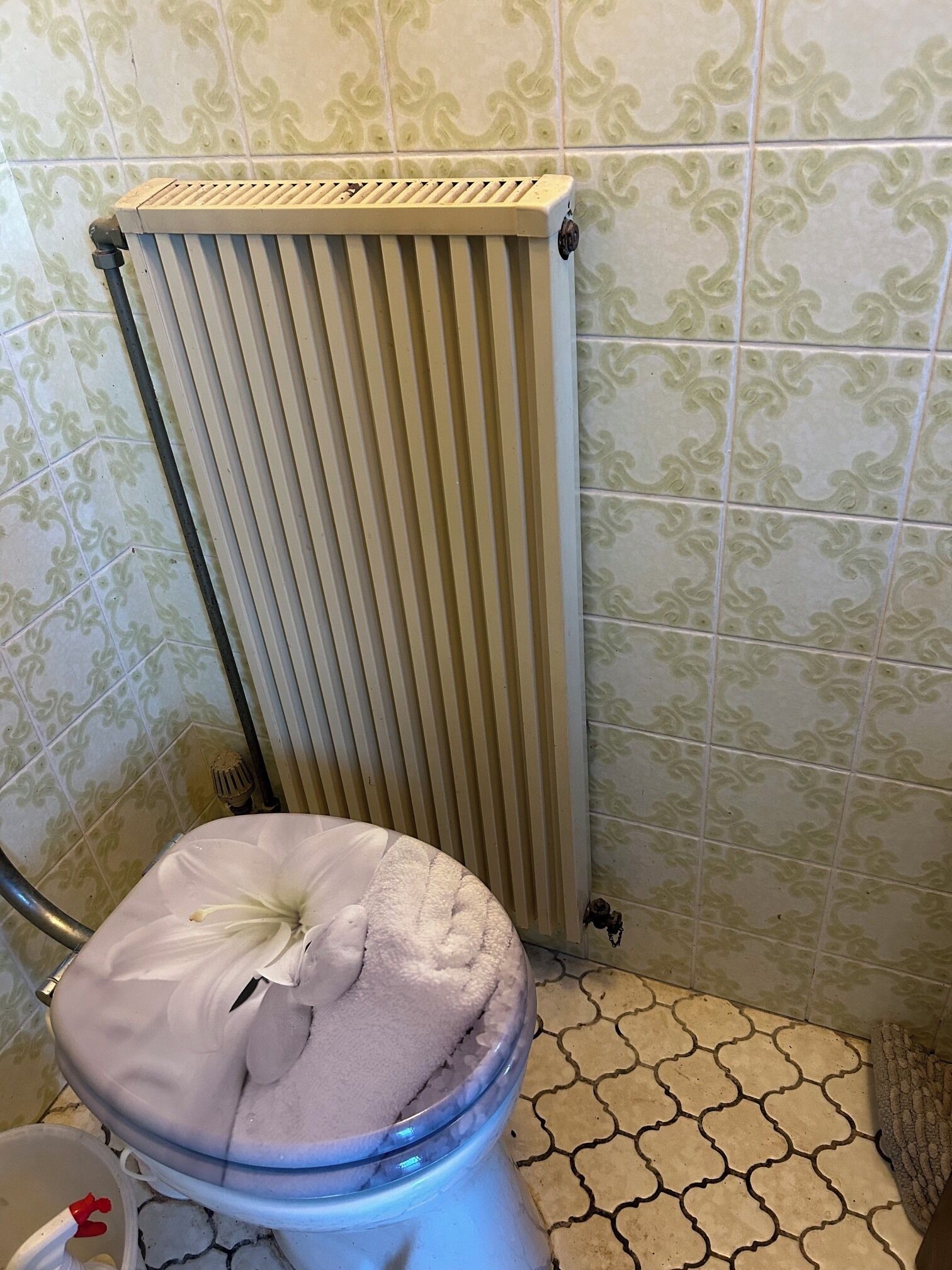 Haartrockner, Handtücher, Seife, Toilettenpapier