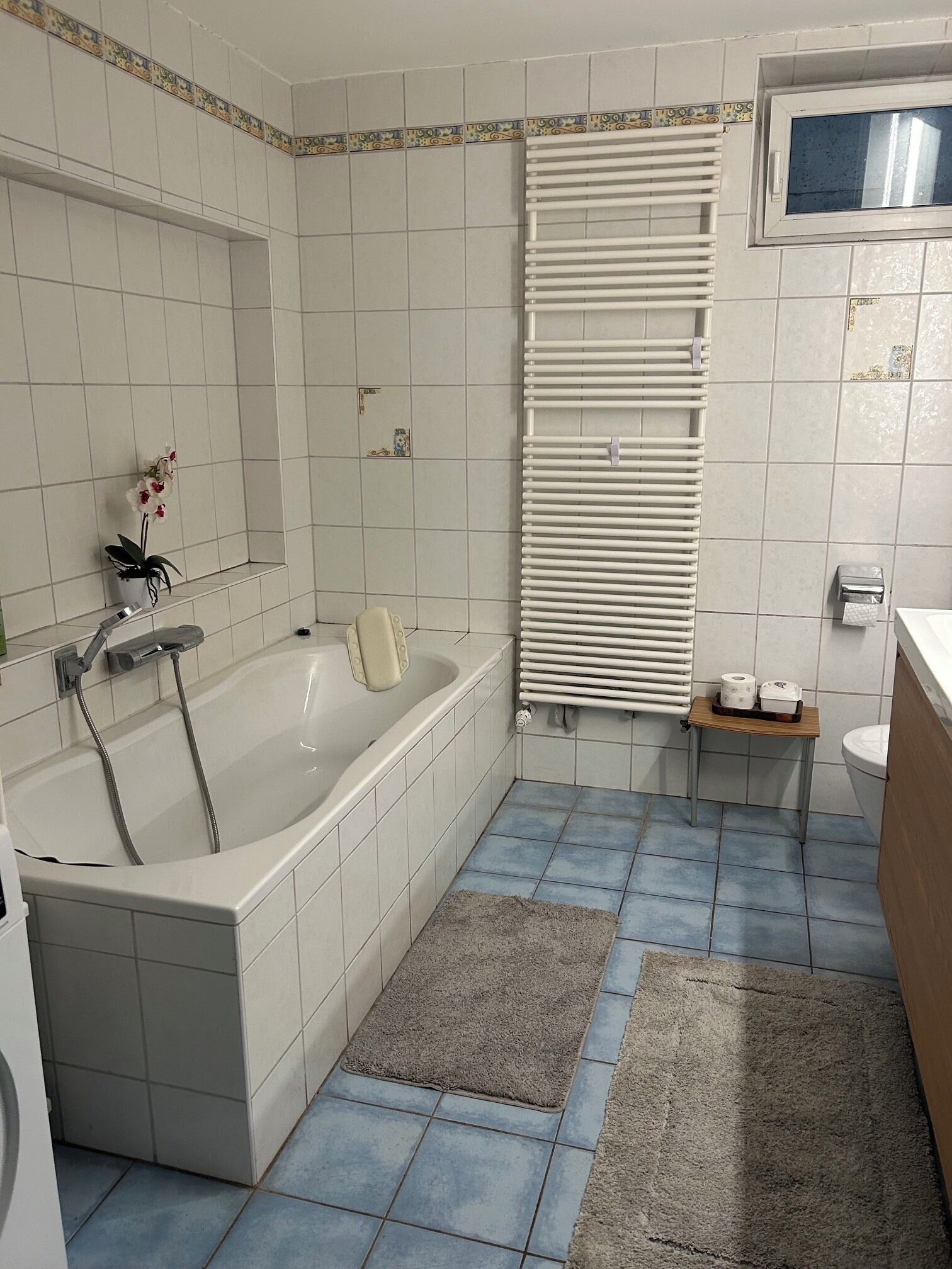 Hair dryer, towels, soap, toilet paper