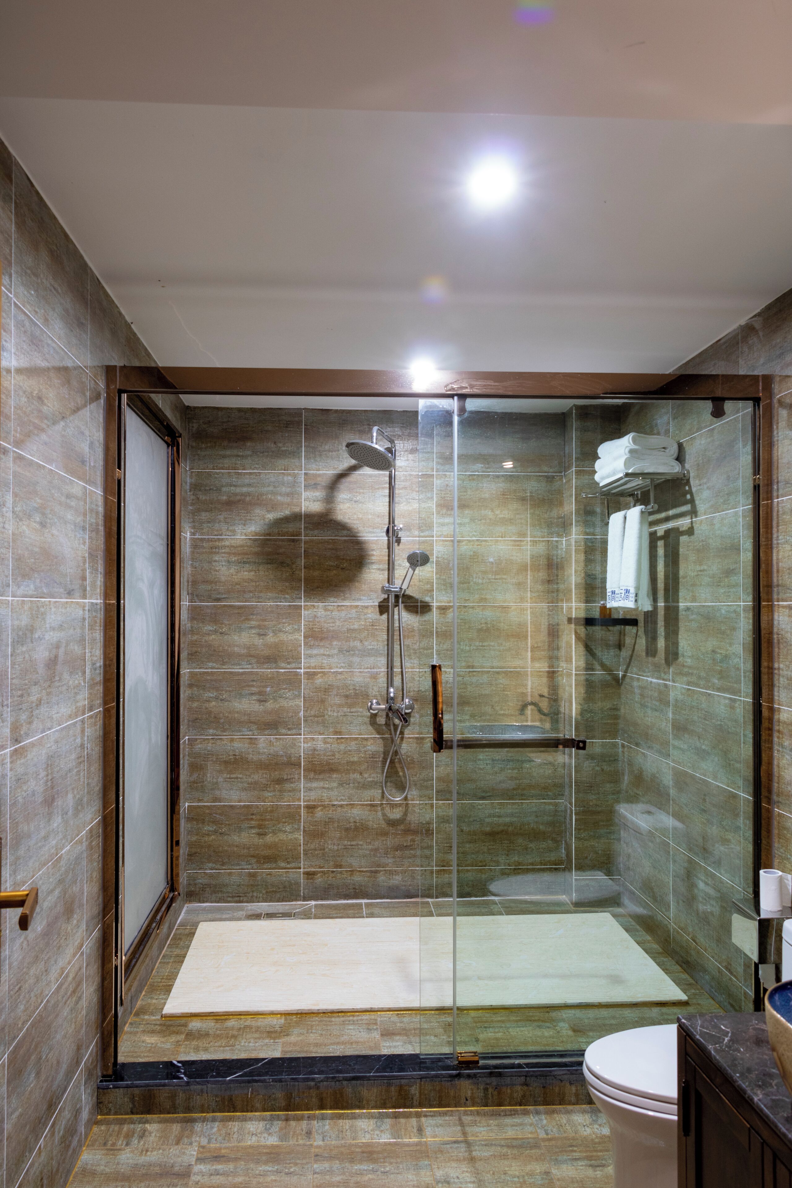 Ducha con cerramiento de vidrio, cabezal de ducha de mano, puerta de vidrio y perchero.