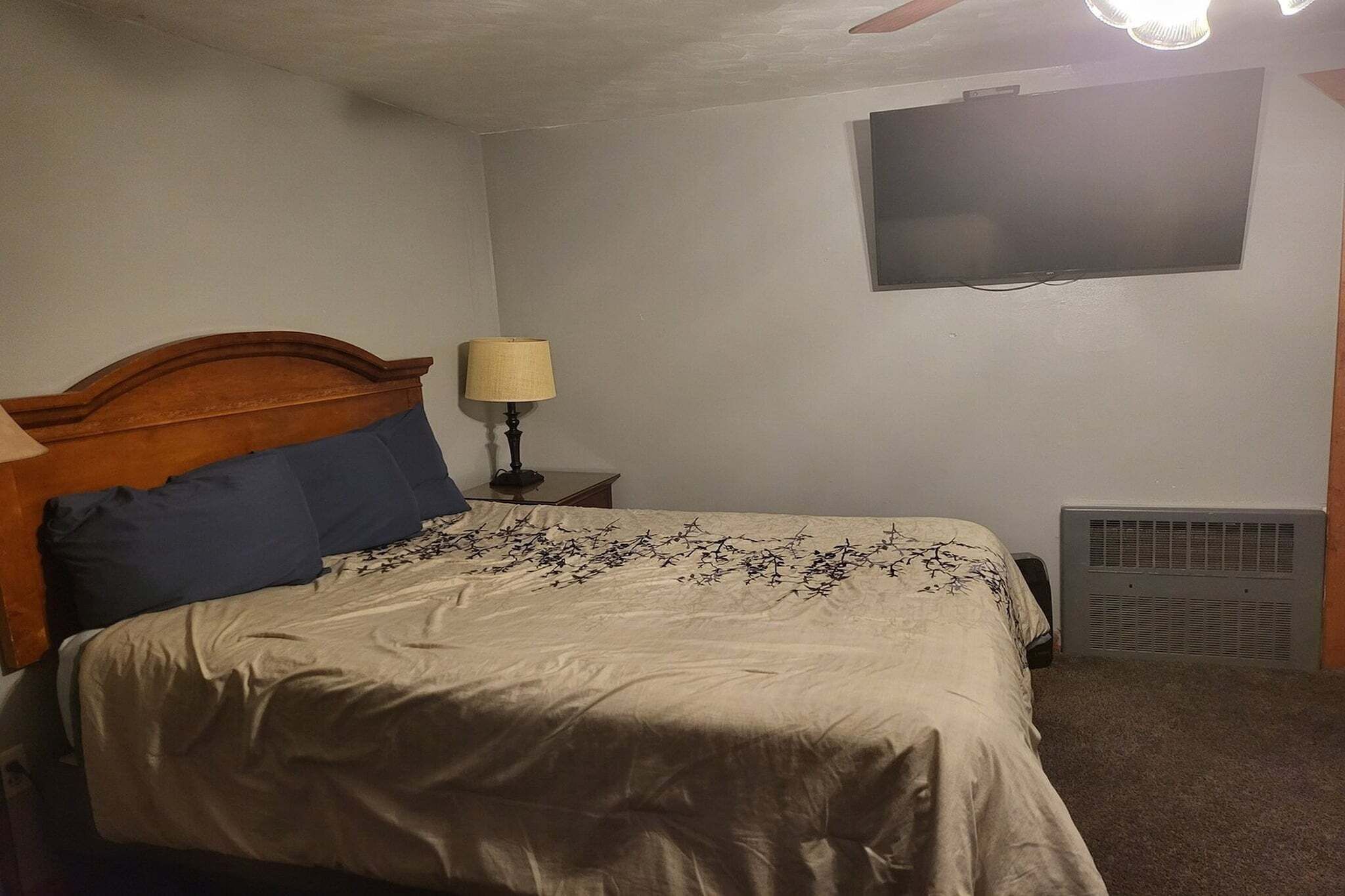 A bedroom with a bed, a nightstand, a lamp, a TV, and a heater.