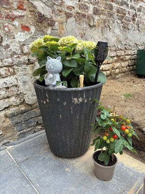 Property grounds - Tastefully-decorated bedroom with garden access (Schaerbeek)