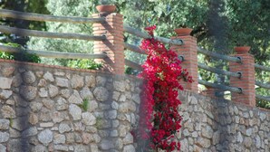 Eine Steinmauer mit Metallgeländer und roten Blumen.