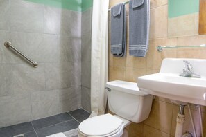 Regadera y secadora de cabello 